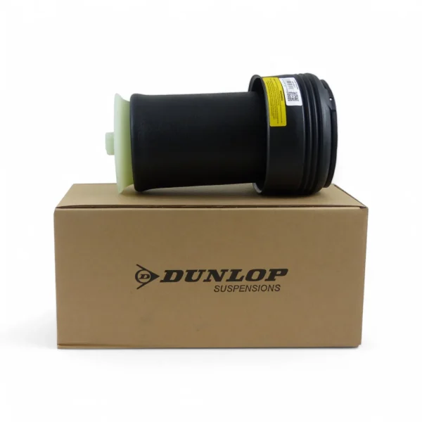 Dunlop DAS10027 takailmajousi  BMW X5 (E70/F15). X6 (E71/F16). 2006-2019
